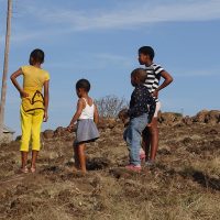 Grafik Blog paXan 2025_2